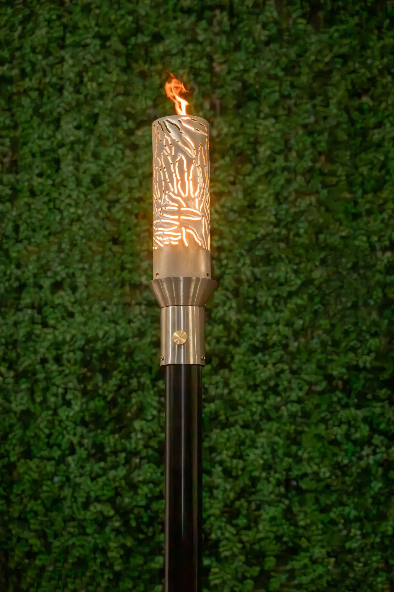 https://cdn.shopify.com/s/files/1/0759/2276/8110/files/TOP-SS-Torch-Tropical.webp?v=1771271693